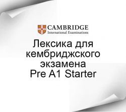 Pre A1 Starters Лексика для экзамена