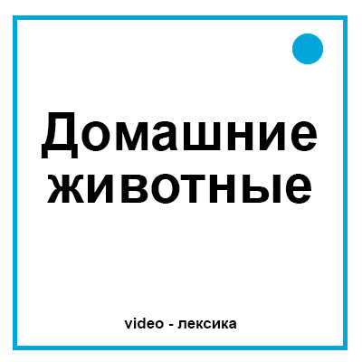 Домашние животные на английском языке для детей