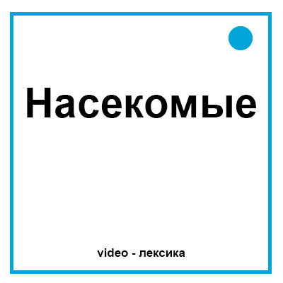Насекомые на английском языке для детей