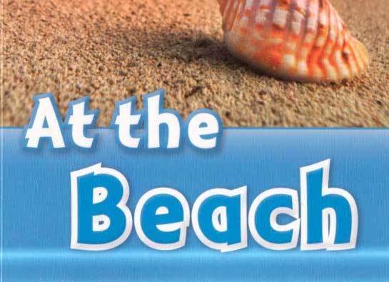 At the Beach Book