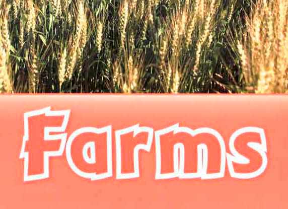Oxford Read and Discover Farms