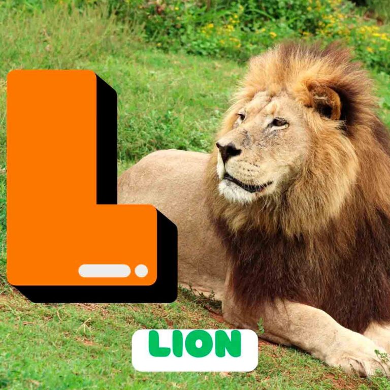 Phonics L