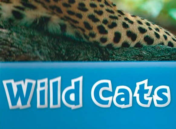Oxford Read and Discover Wild Cats